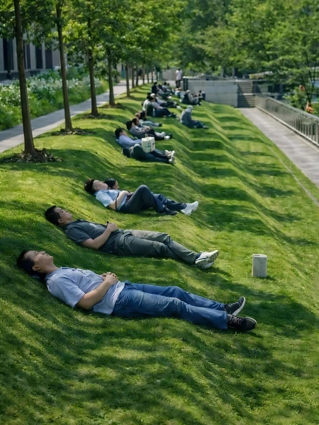 好的园林景观，懂得允许大家就地躺平海边弧形木平台、彩色休闲躺椅、林荫斜坡、缓