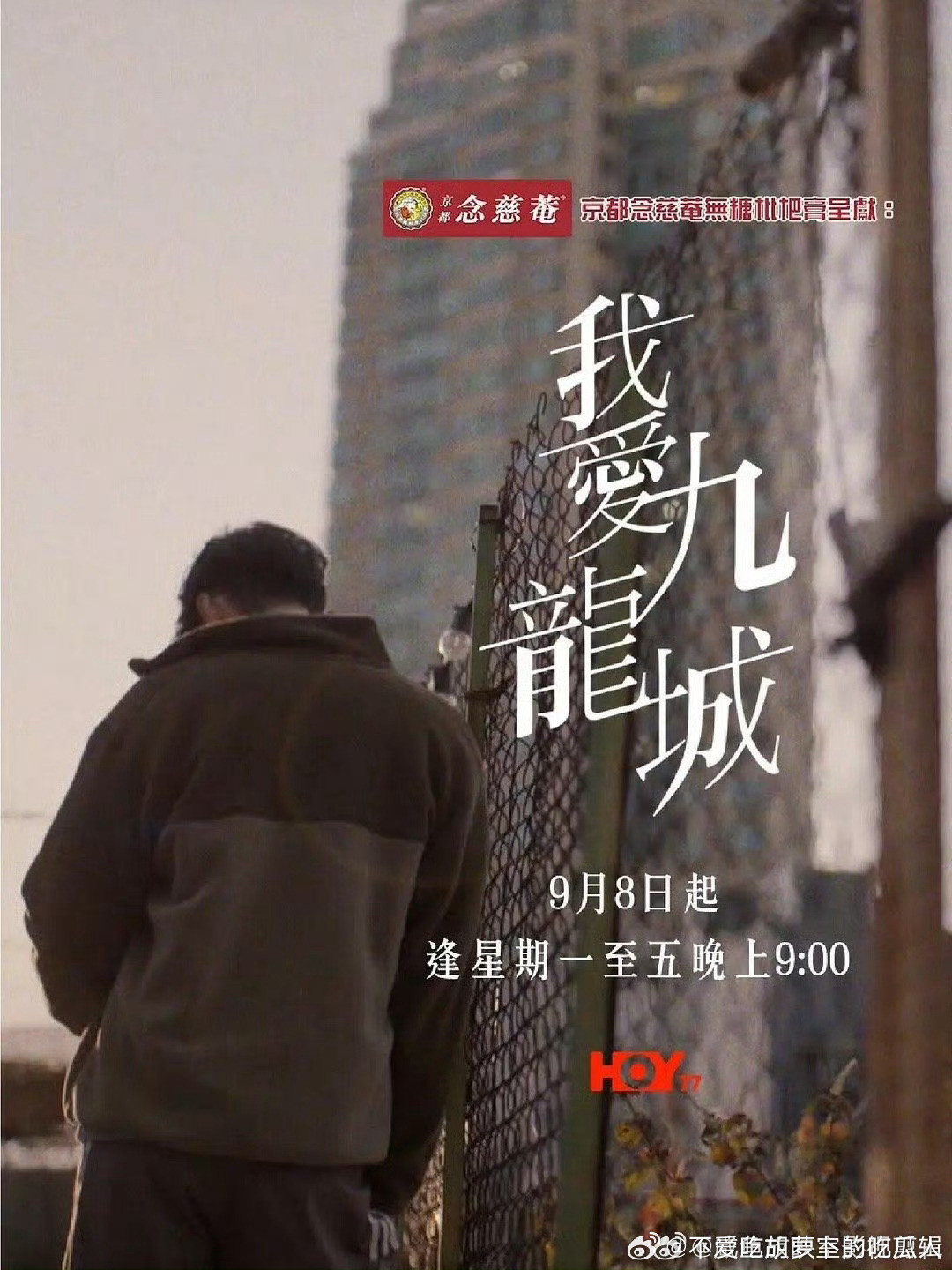 今日新剧上线香港HOYTV首部原创剧我爱九龙城今日上线，共10集。主演：陈