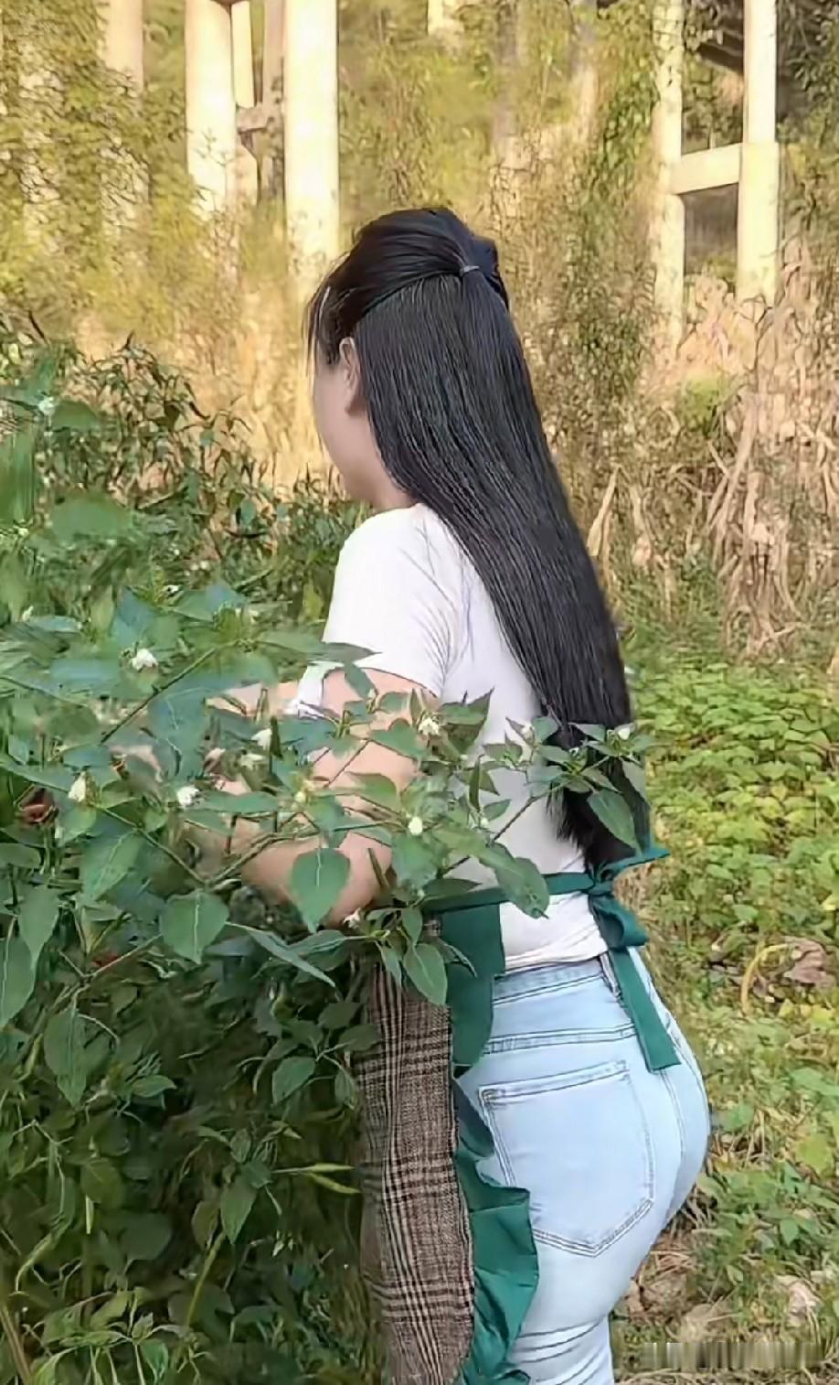 这辣椒🌶️长得挺好！