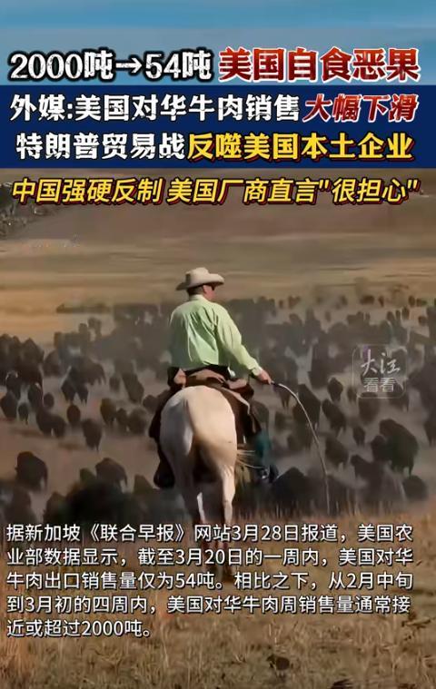 一旦中美“掀桌子翻脸”，站美国的有4个，能帮中国的仅一种力量,，未来的某一天，如