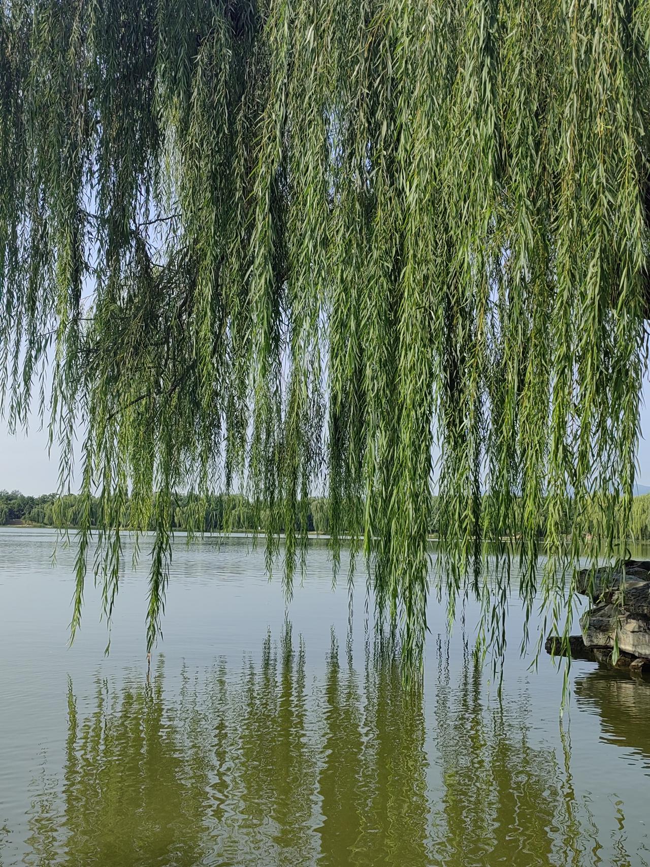 中芯国际100万片/月，进入了世界前三位置中芯国际（SMIC）2025年