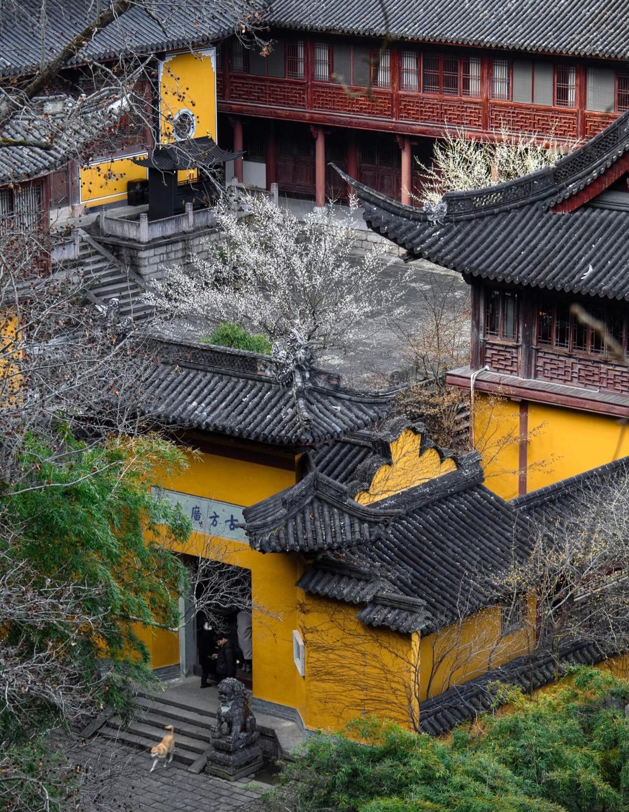 本来觉得国清寺已经够美了直到我来到了这里它便是石梁飞瀑景区的方广寺和国清寺