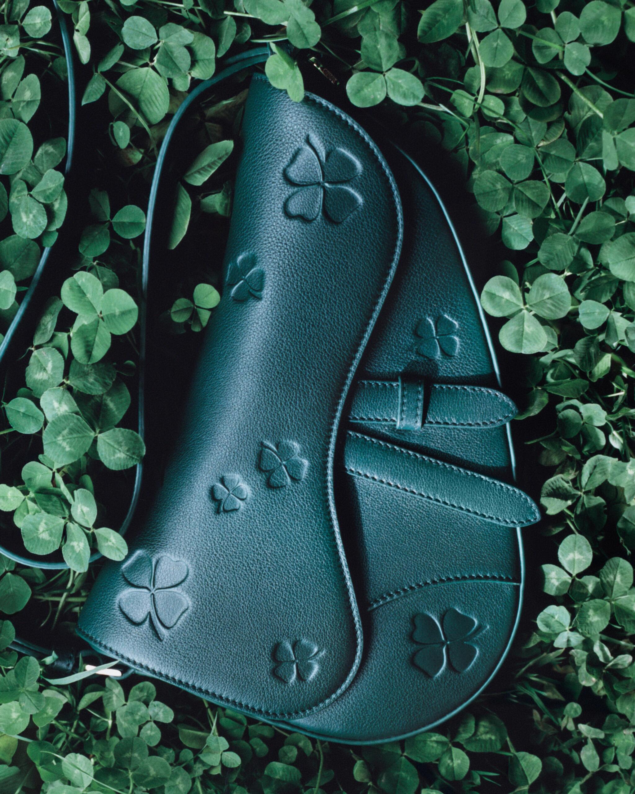 邓为×Dior马年新春大片，小马刺绣与四叶草元素点缀，时髦意趣，矜贵悠然，