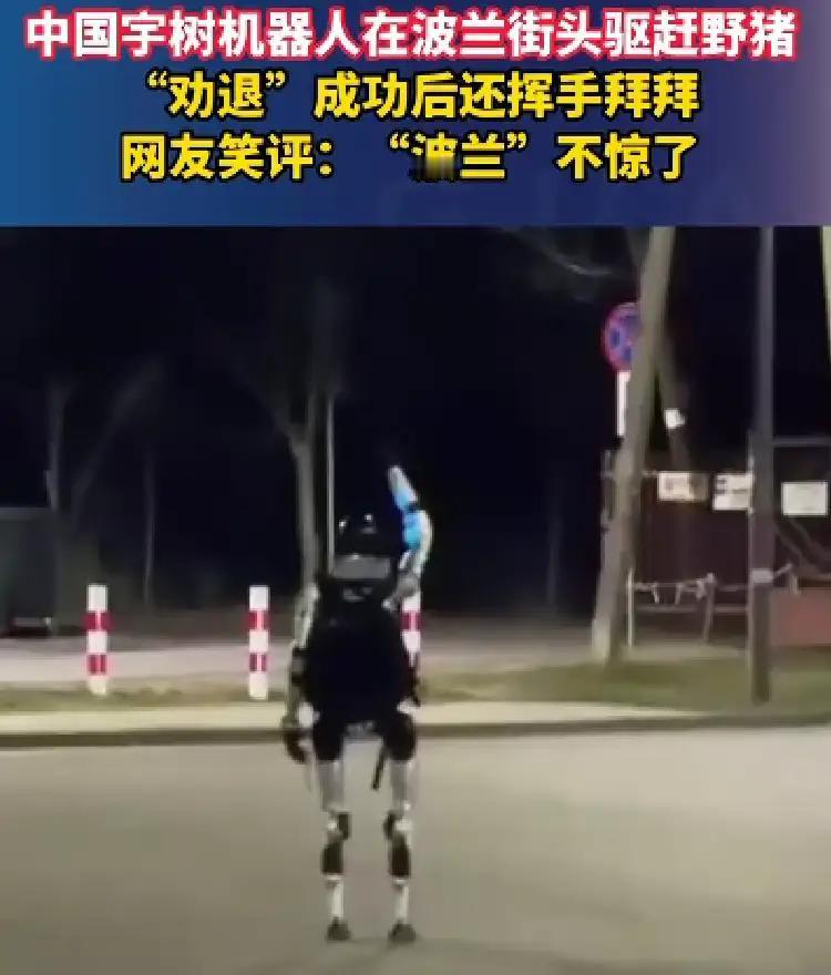 中国机器人竟然现身波兰街头驱赶野猪，震惊了，这机器人就这么赤裸裸的就业了？话说