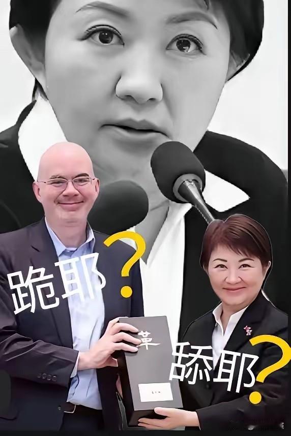 邱毅教授提议台中市长卢秀燕在年底卸任后前往中国大陆访问。卢秀燕年底就要卸任台