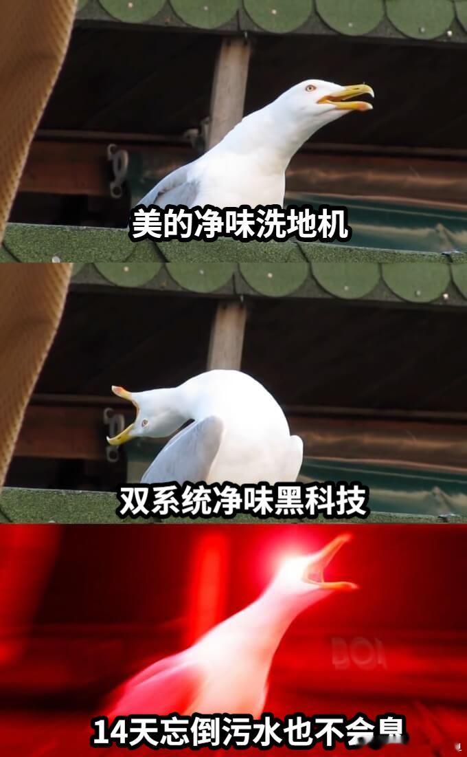 不是，你们跨国婚姻都这么有乐子吗？好听爱听，小鹿还有什么跨国素材请统统交出来！当