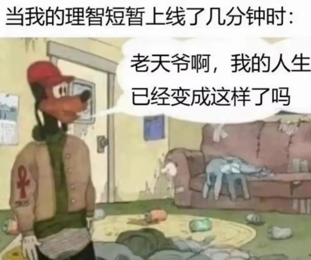 我每天belike：梗图meme