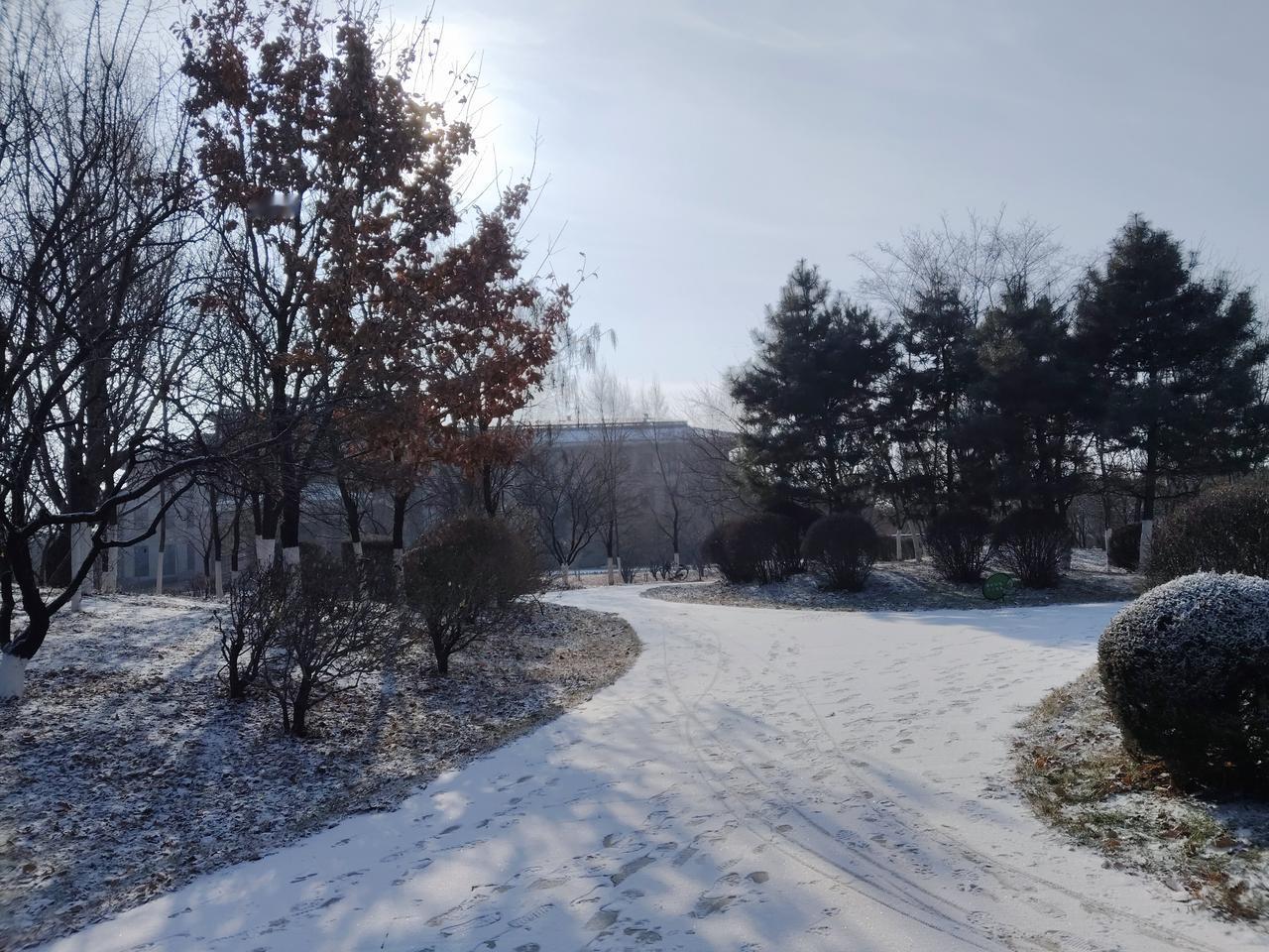 威海一学校14岁男生岳同学参加体测晕倒再也没起来！真是太痛心了，14岁岳同学