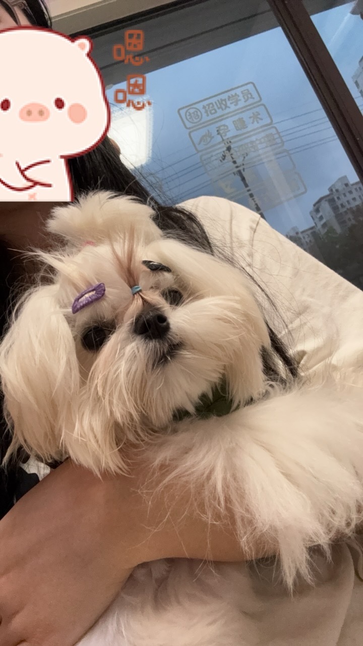 小木子长眉毛了​​​