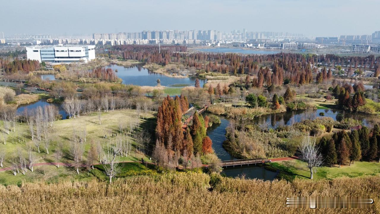 几张照片，记录2024年春节去云南昆明，在滇池边的湿地公园打卡。那时压根分不清东