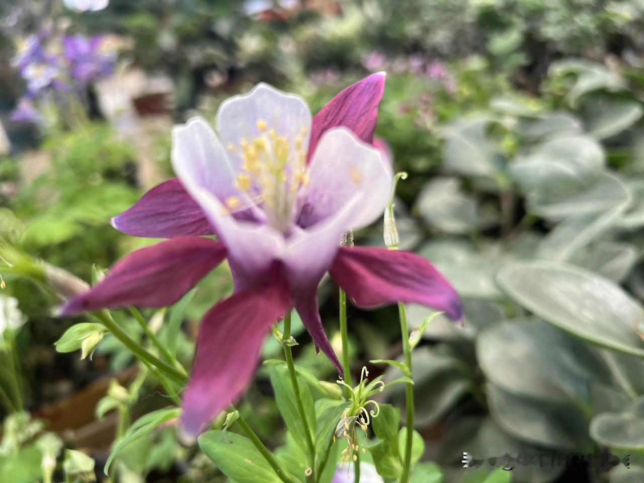 个人认为，一天一顿正餐足够。早餐快餐。晚餐减脂餐。只有中午一顿正餐。但三餐营