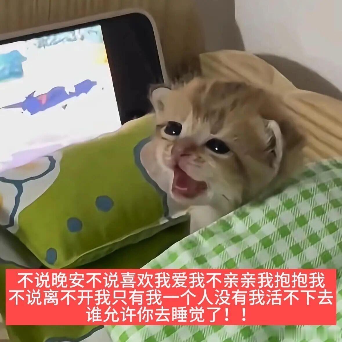 大专妹网恋时候：