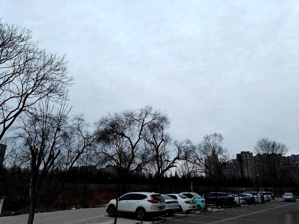 家里有属牛的，这事你得留个心眼。一个年轻时许下的承诺，可能话刚出口就忘了，以为