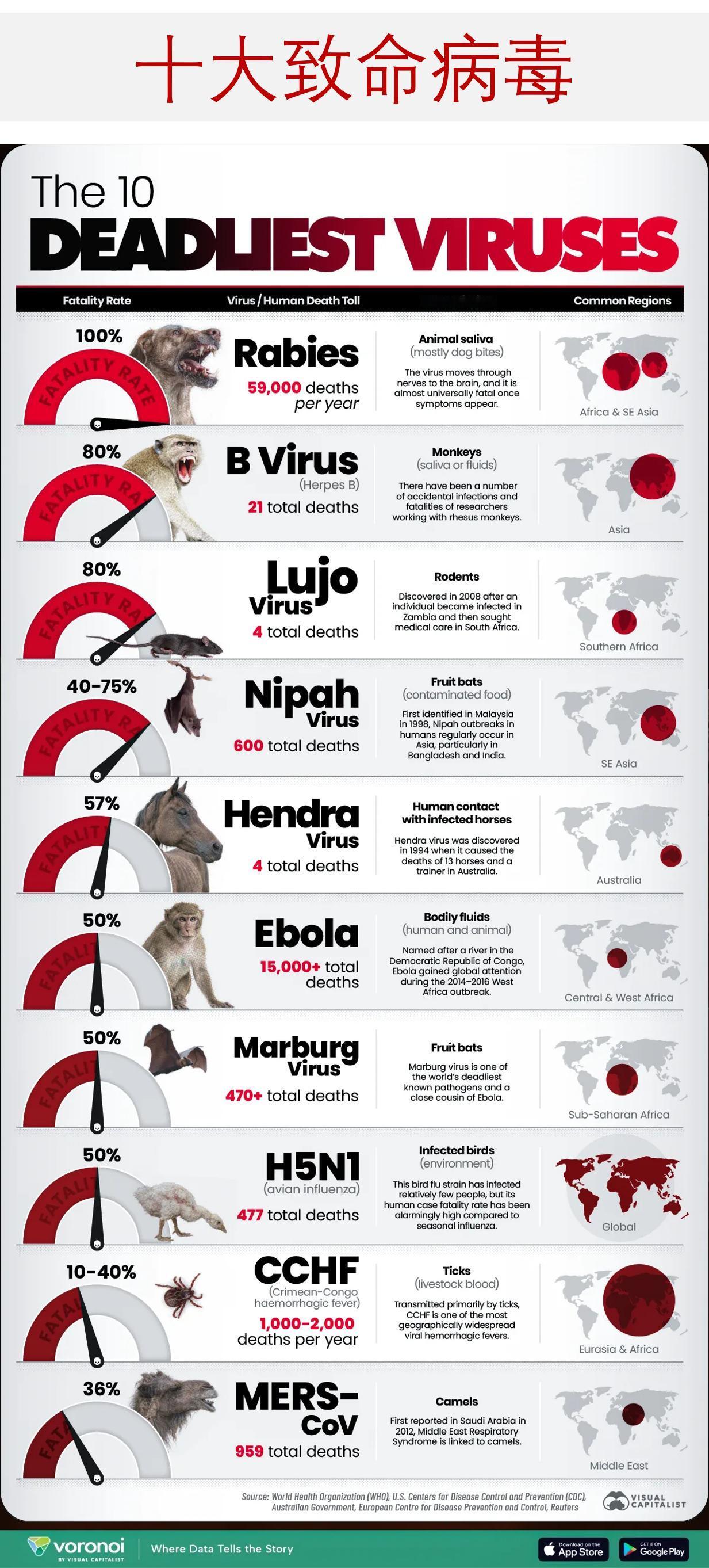 哪种病毒最致命？来看按致死率排名的全球十大致命病毒有些病毒能感染数以百万计的