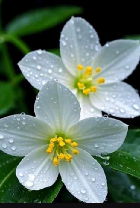 结婚8年，他当着我妈面掀了桌子！结婚8年从没红过脸的老公，居然在我妈生日这