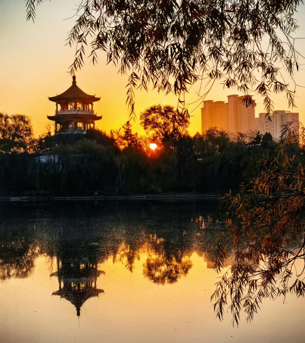 原创摄影作品分享晨光穿透薄雾，为公园小径洒下斑驳金辉。脚下落叶窸窣作响，呵出的白