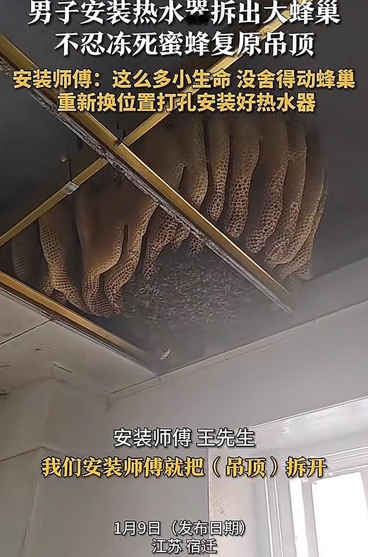 装热水器拆出巨型蜂巢！密密麻麻的蜜蜂，看得我汗毛直立真的被这画面吓麻了！1