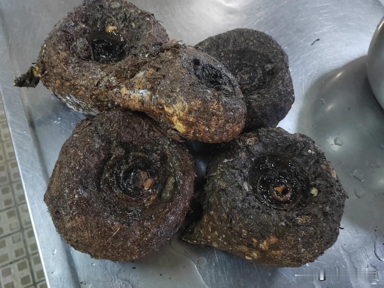 各位网友，快帮我看看，这是什么东西？怎么做好吃啊？这是在阿联酋上的，当时伙食单子