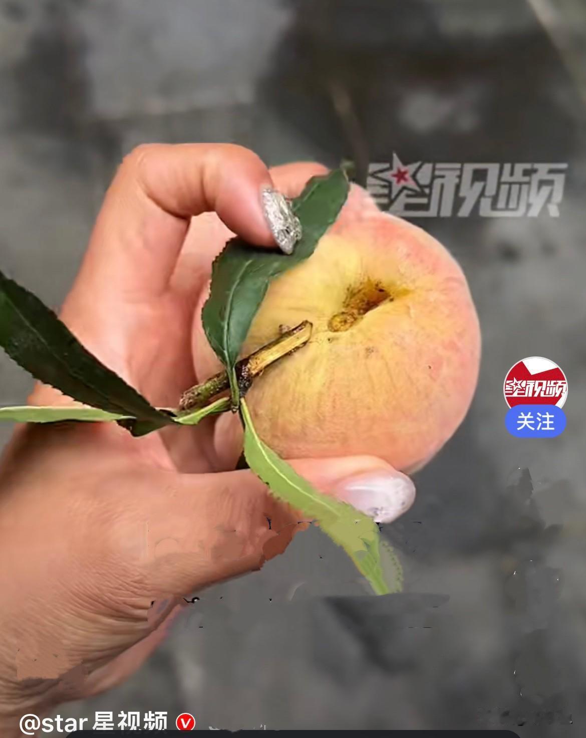 近日，云南保山一位女子在路上偶遇一大妈摆摊卖桃，当时摊位前围着好几个路人挑选，