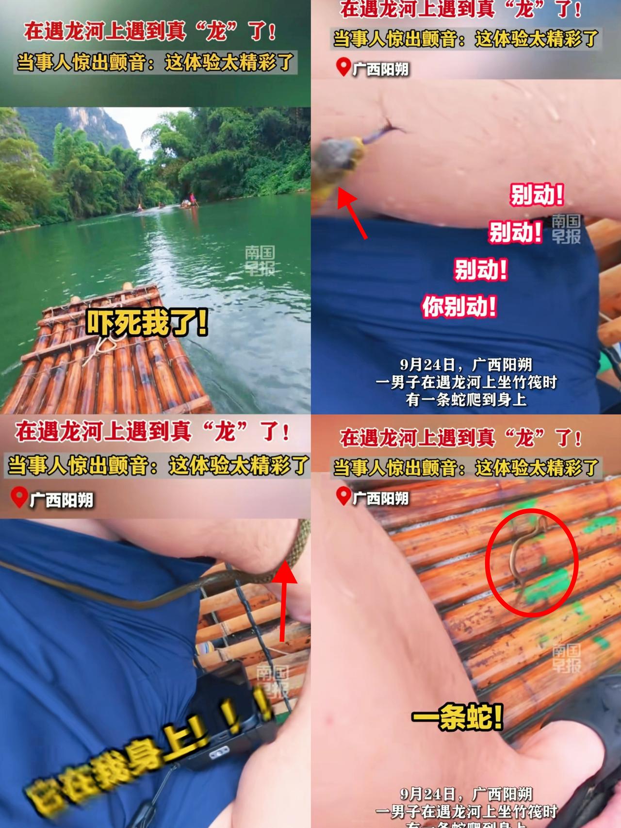 这哪是游山玩水，魂都快吓飞了！9月24日广西阳朔一男子在遇龙河竹筏上游玩本