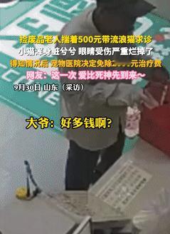 眼泪止不住了！山东，一拾荒老人捡到只受伤小猫，二话不说带着小猫去兽医院治病，并掏