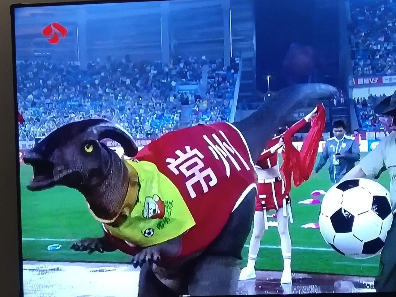 常州进球了，2026第一场球赛，跟南通对决，常州上半场就进球了，点球进的。说