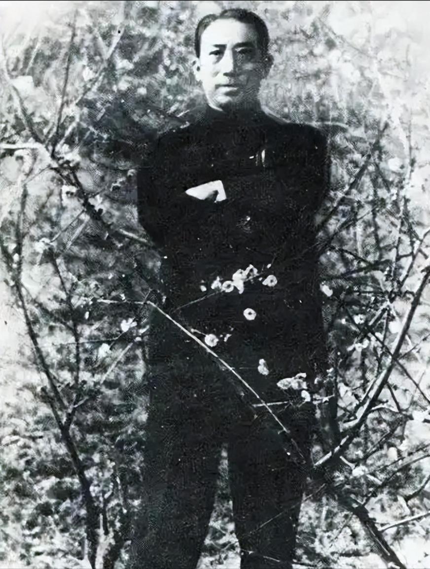 1939年国民党坑了一小学老师，导致潜伏延安的55名特务被一网打尽1942年