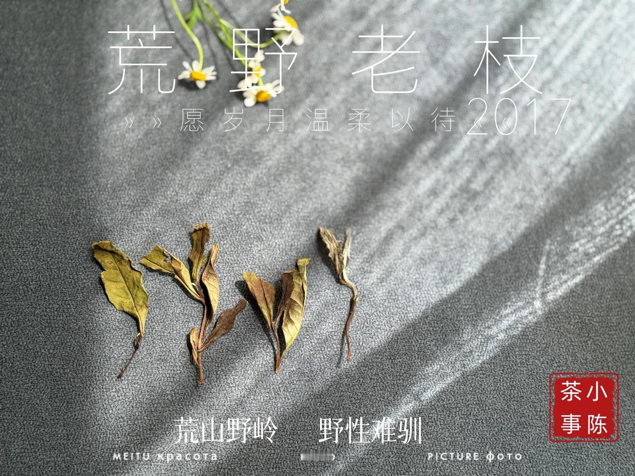 处暑喝茶指南，照着喝不出错！处暑时节，喝什么茶更舒服？这份攻略请收好！◆润