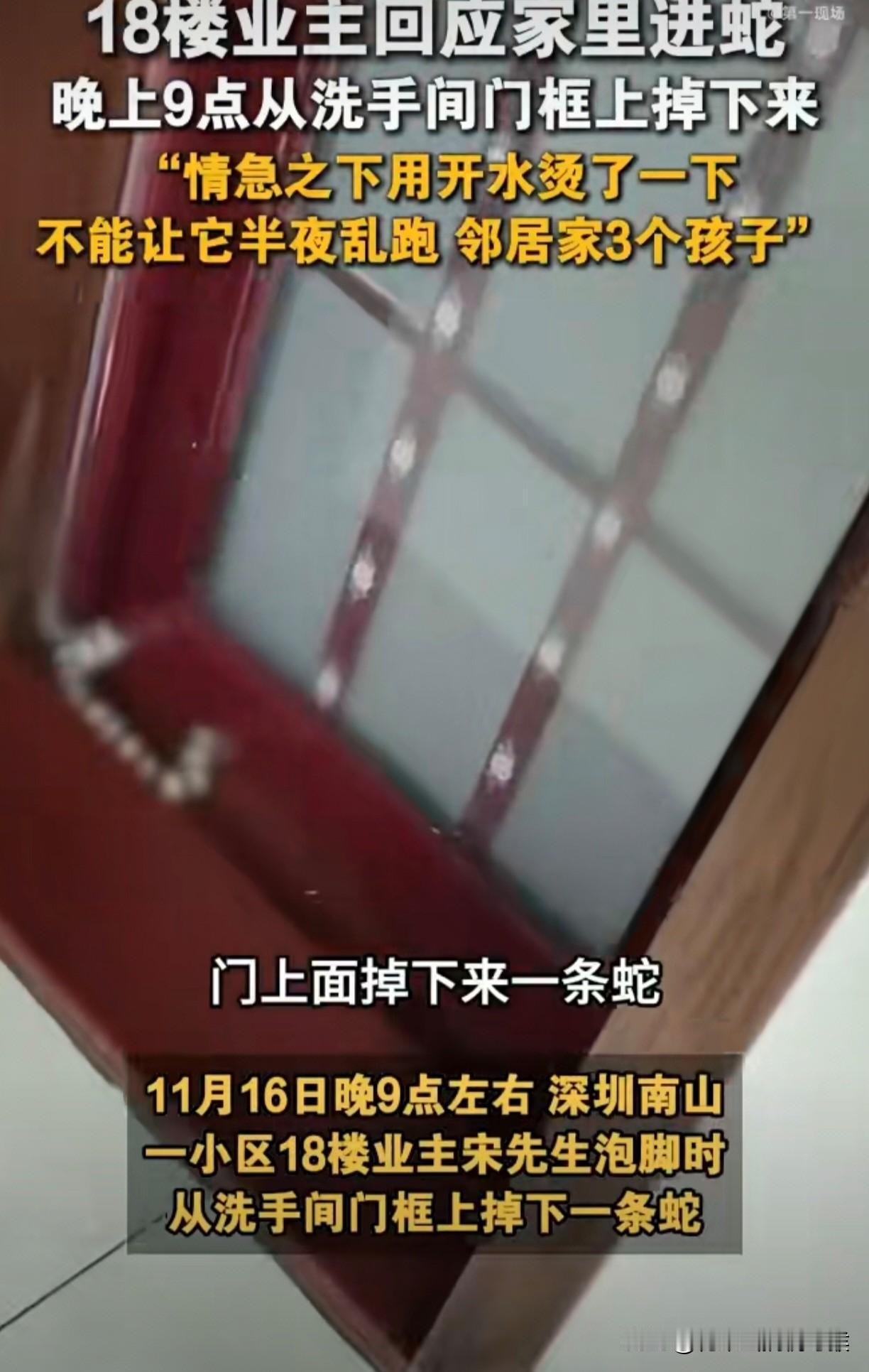 这太吓人了！事情发生在深圳南区的一小区，18楼的一业主晚上从洗手间出来的时候，门