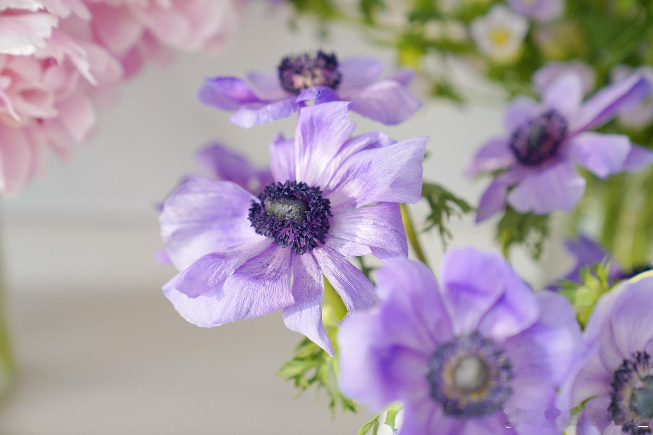 下午茶~来杯咖啡☕