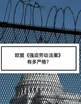 为何搞出口，尤其是出口欧盟的企业，不敢明目张胆强制加班了？因为欧盟出台了规定：敢