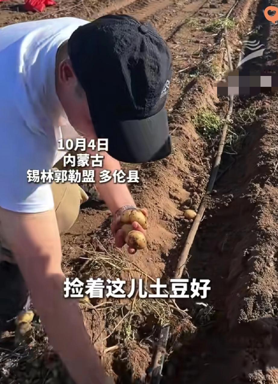 旅行中最戳人的惊喜，从不是打卡多少景点，而是遇到这样的人情味。内蒙古路边那