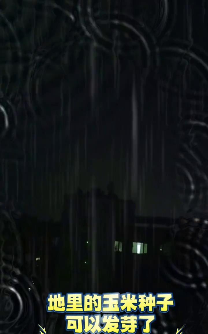 下雨啦，地里的玉米种子可以发芽了，终于不用再辛辛苦苦往地里拉水、浇地了。