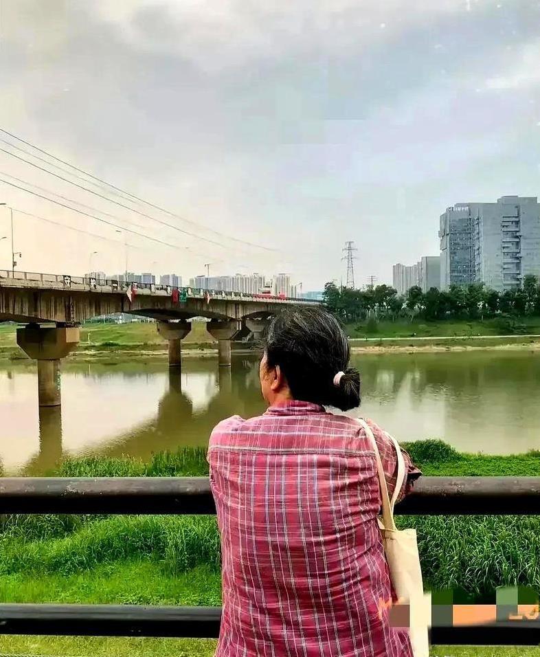 昨晚女儿女婿在我面前吵得跟仇人似的，摔碗砸门那架势差点把我心脏病吓出来。结果今