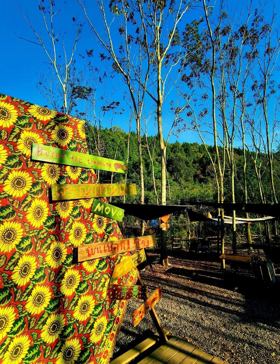 成都“小泰国”冬日限定！暖阳+烤肉太治愈不想冬天宅家，又怕露营冷？青漫营地的冬