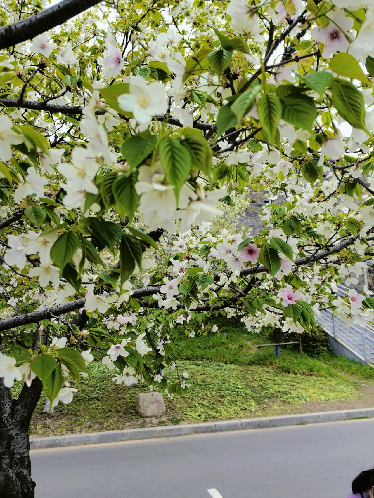 接待了一位来自南京的高中生家长，家长跟我说，孩子小学和初中时成绩还挺好，怎么一到