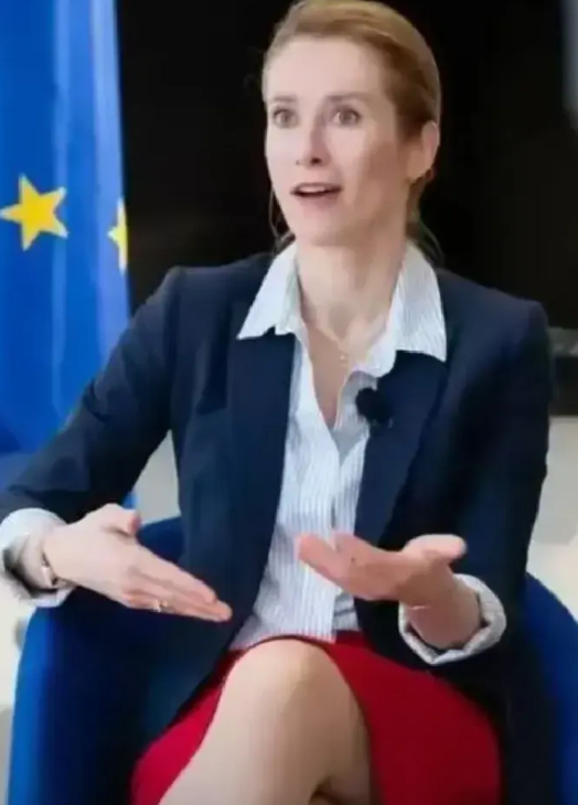 德国外长贝尔伯克：我们的恐惧更胜往昔，一个邪恶的时代开启了。我们比任何时候都有必