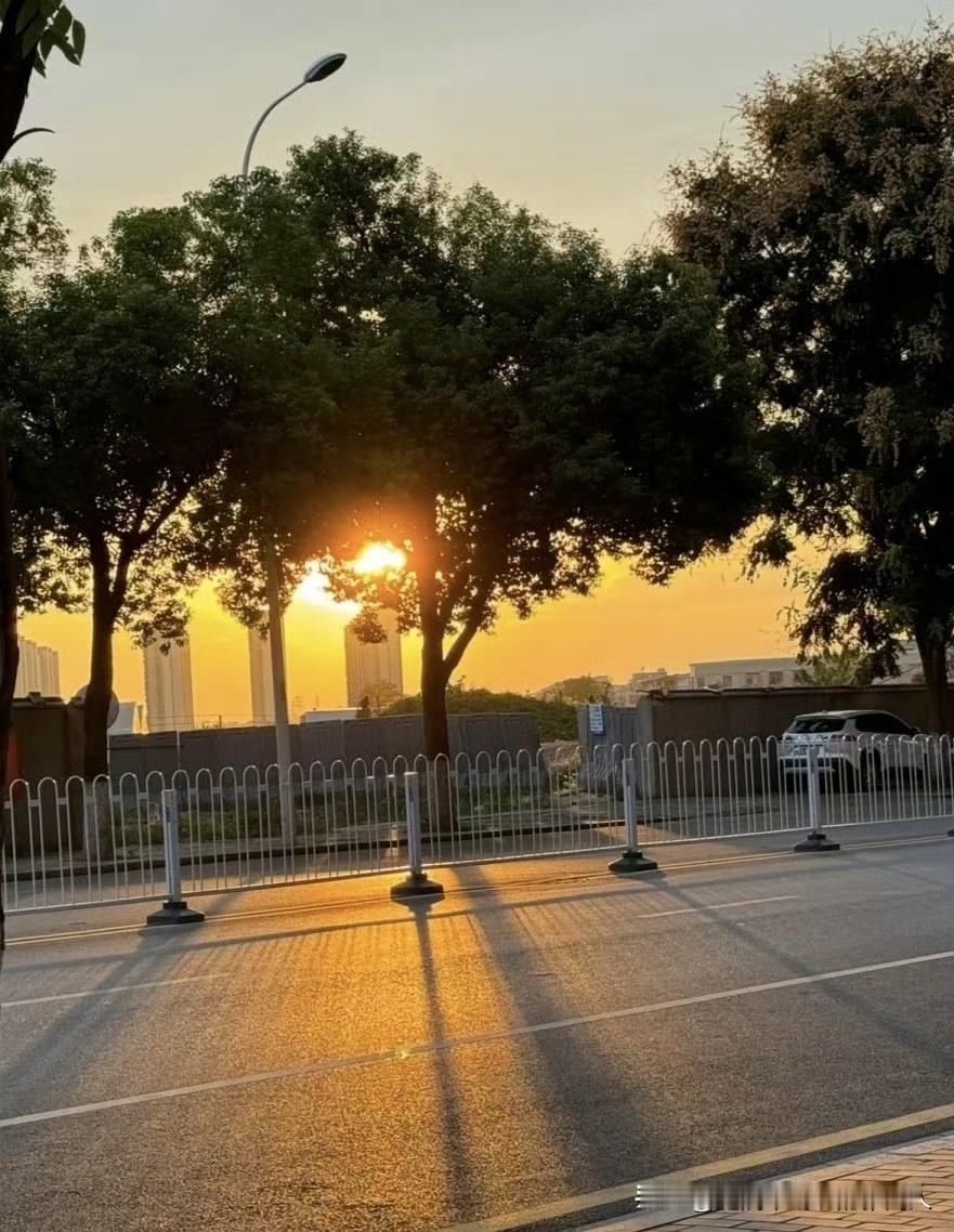 人和人之间相处，不用走得太近，带点互不打扰的“薄情”，关系反而能维持得更久。