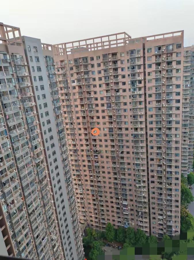 前几天跟做建筑设计的老同学聊了聊高层住宅，我直接后背发凉。他说，所谓“30