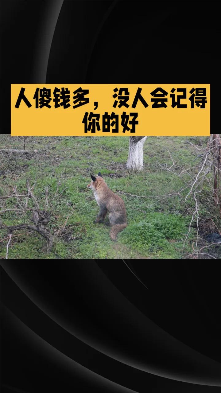 从前单位里有一位临时工大姐，常年几乎不干活。有一年，她所在的科室任务加重，科室主
