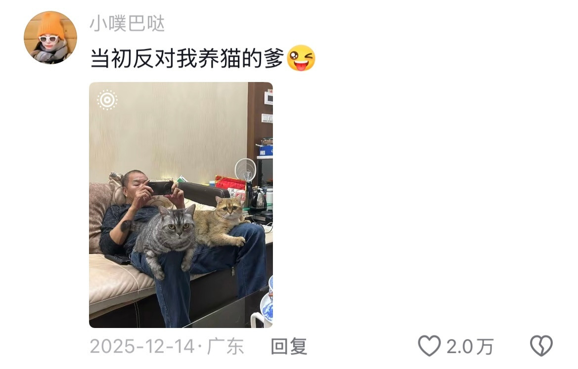 宠物会制裁每一个嘴硬的长辈🤣👌主打的就是一个真香