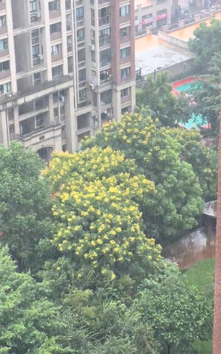 终于下大雨了，重庆主城区给大家看一看。这个雨下的真的好大，昨天只是下的小雨，昨天