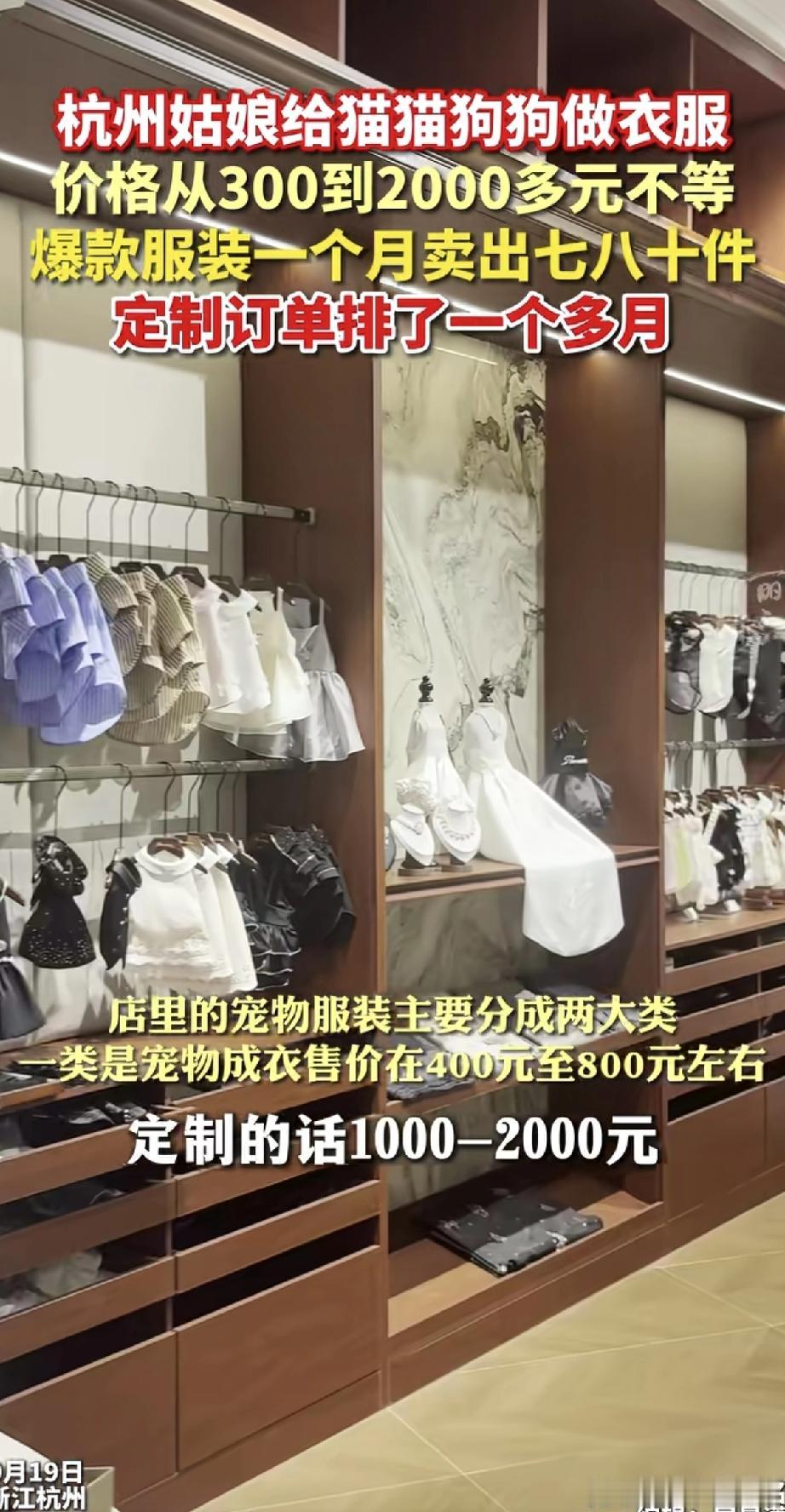 杭州姑娘给猫狗做衣服，一件卖到300～2000元！爆款月销七八十件，定制订单排到
