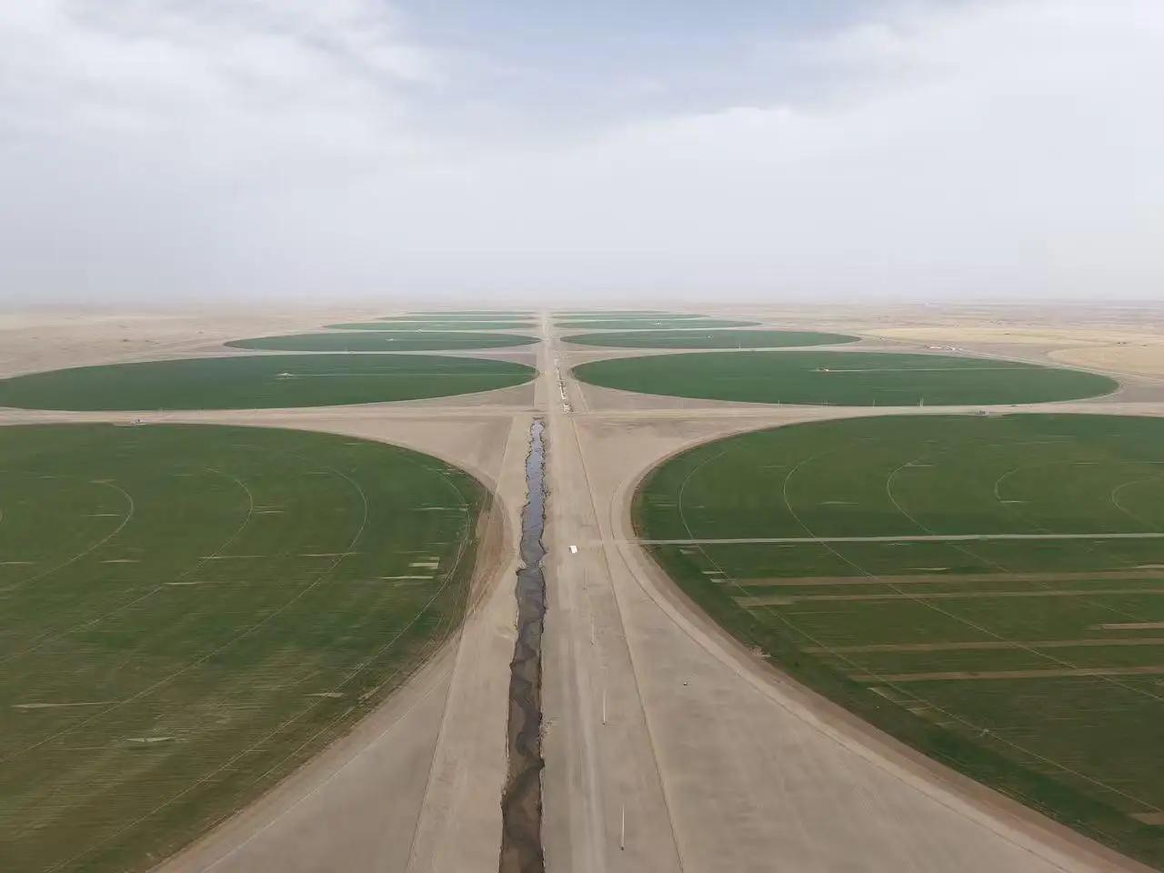 爆改沙漠的技术和方法是什么爆改沙漠有不少技术和方法。光伏治沙是个厉害的法子，像