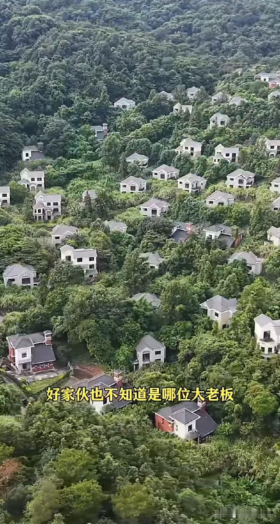 这个深山里的别墅给你一栋，你敢去住吗？