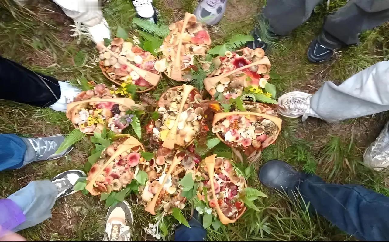 游客斩草除根式采摘，大理野生菌面临灭顶之灾。夏季，大理进入旅游旺季，但今年的游
