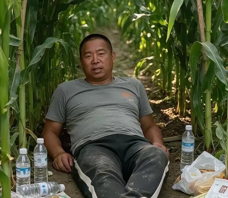 玉米地…夏付钢…水…食物…。