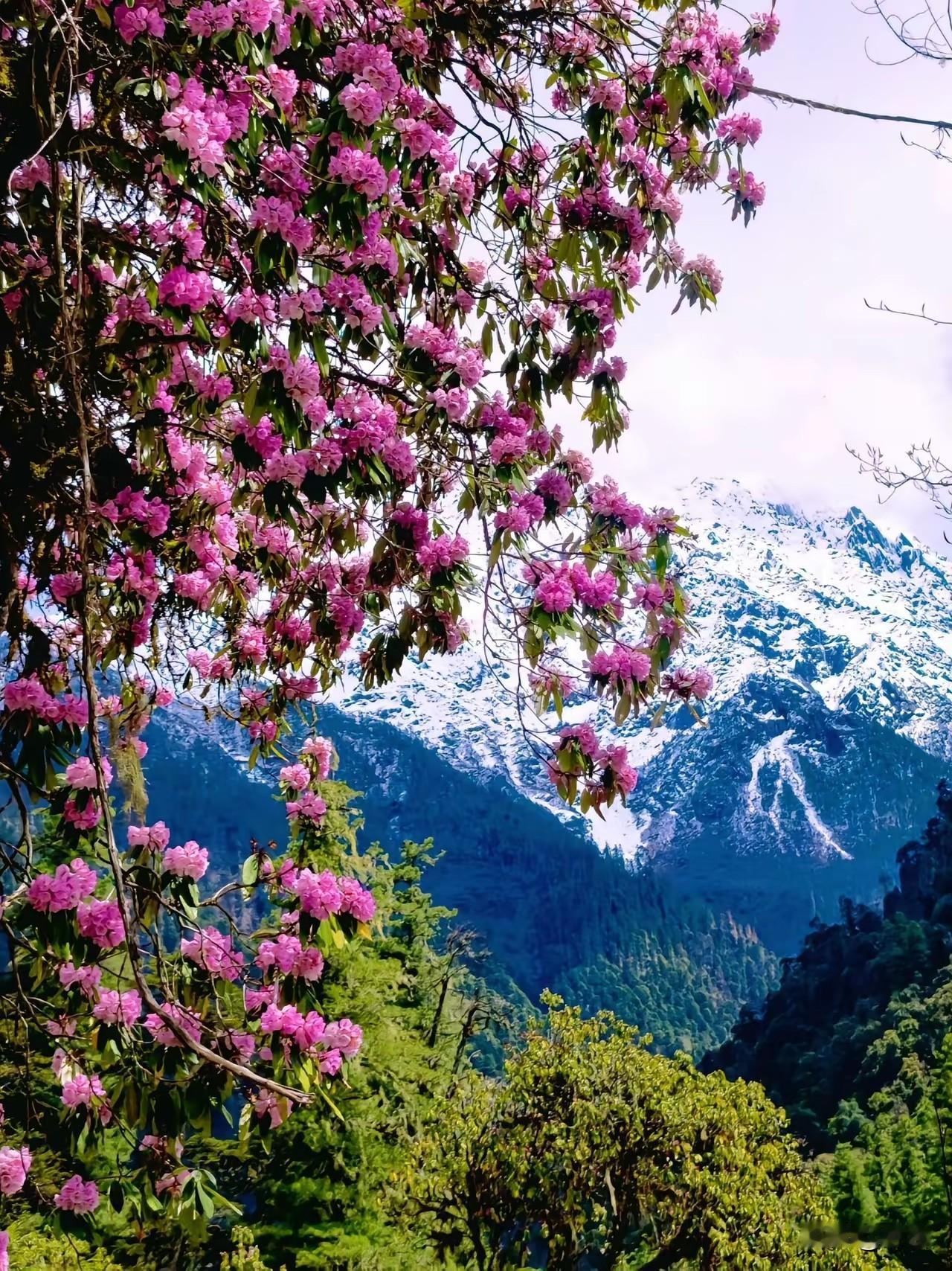 培养存钱的好习惯一、存钱的3个真相1. 存钱不是省出来的，是“规划”