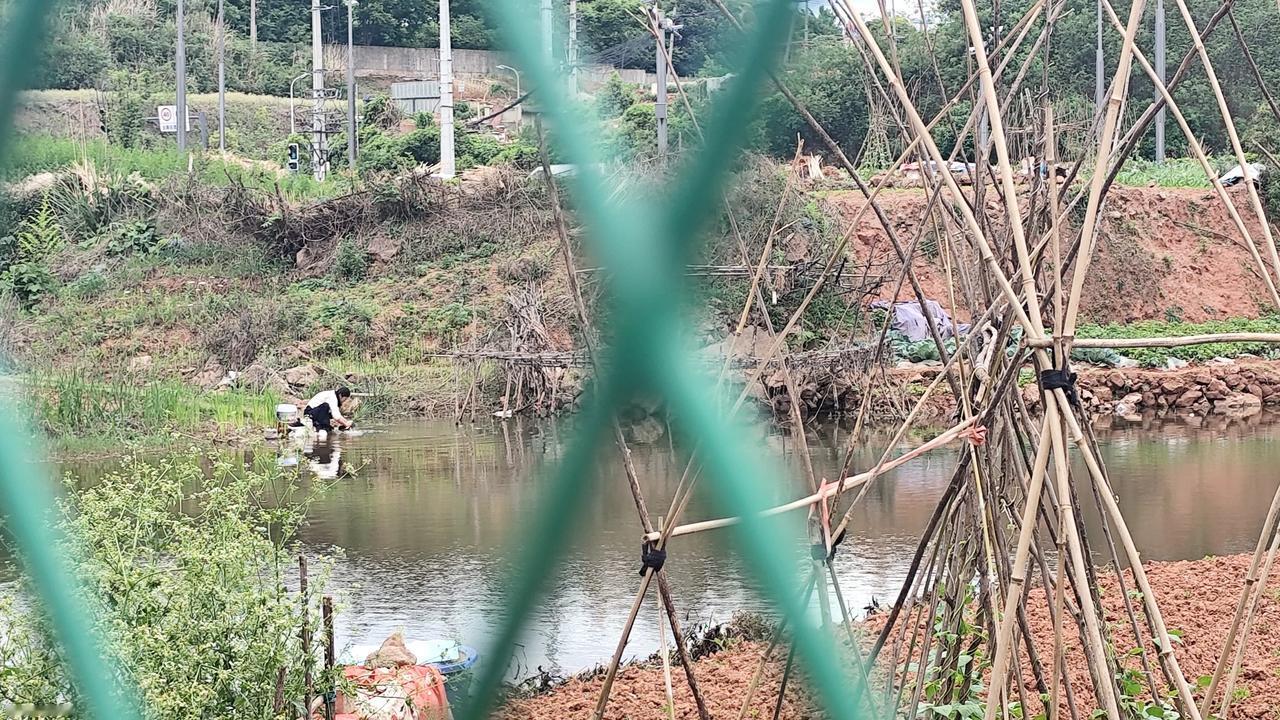 自然风景图片分享今日随手拍，乡村风景欣赏！分享一张自然风景的照片