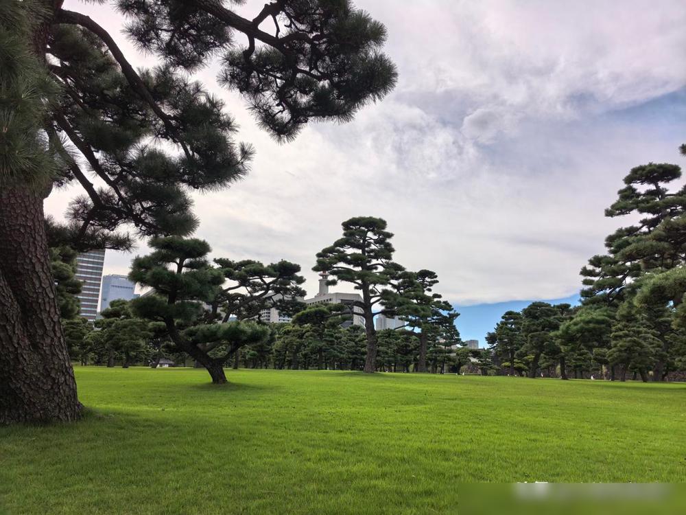 前两天跟一个上海的导游聊天。聊到苏州，我倒觉得，景点多和别人愿不愿意推荐，真